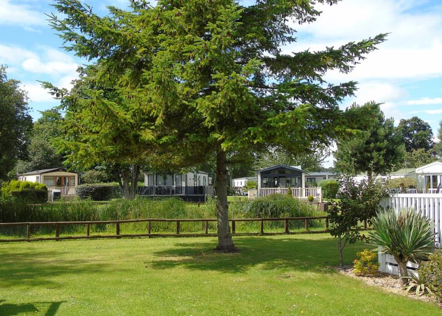 dogs are welcome at fir trees caravan and lodge holiday park near chester