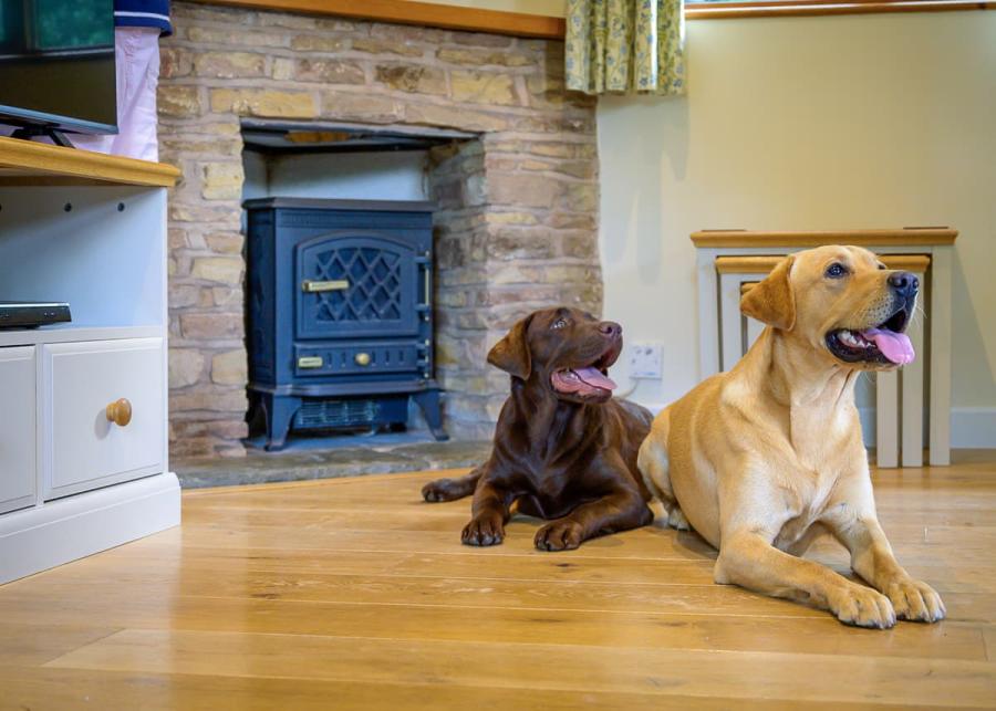 dog friendly lodges at ford farm lodge park 