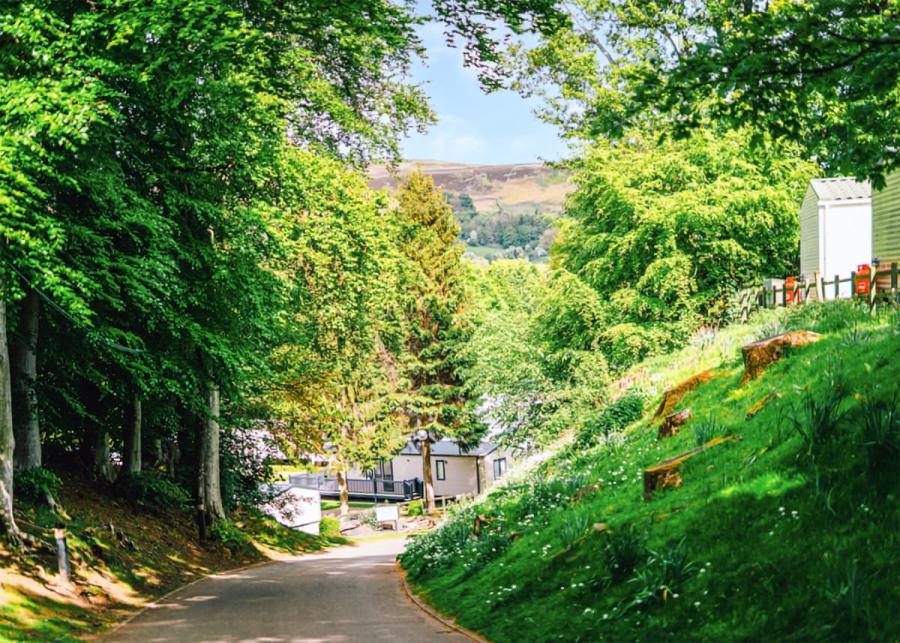 heather park holiday park durham