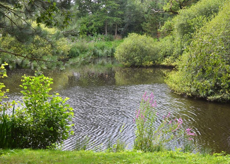 laderal retreat lodges near congleton in cheshire