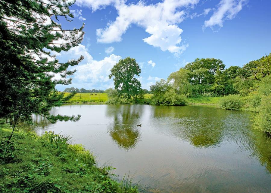 stunning countryside at laderal retreat lodges