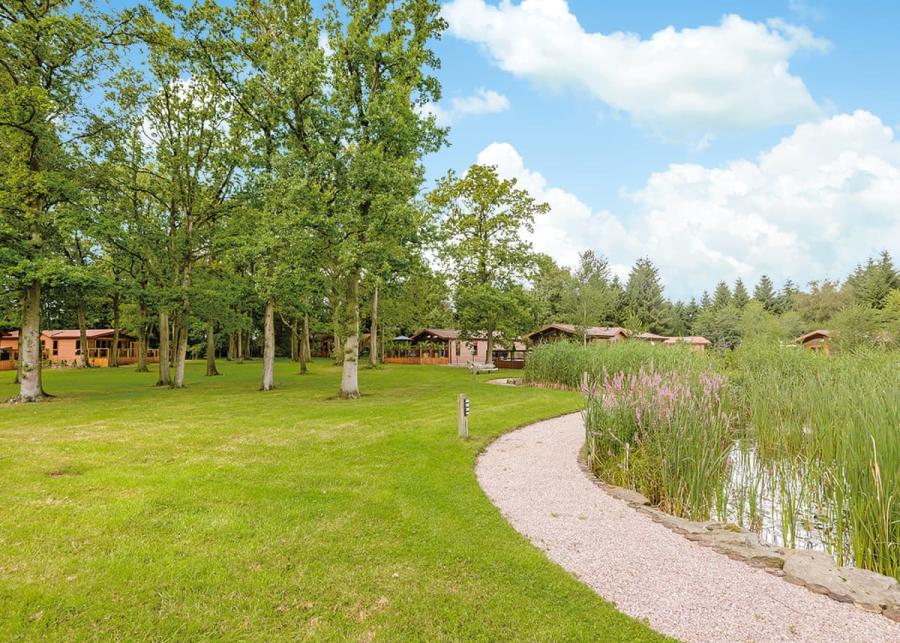 lodge holidays at laderal retreat lodges in congleton 