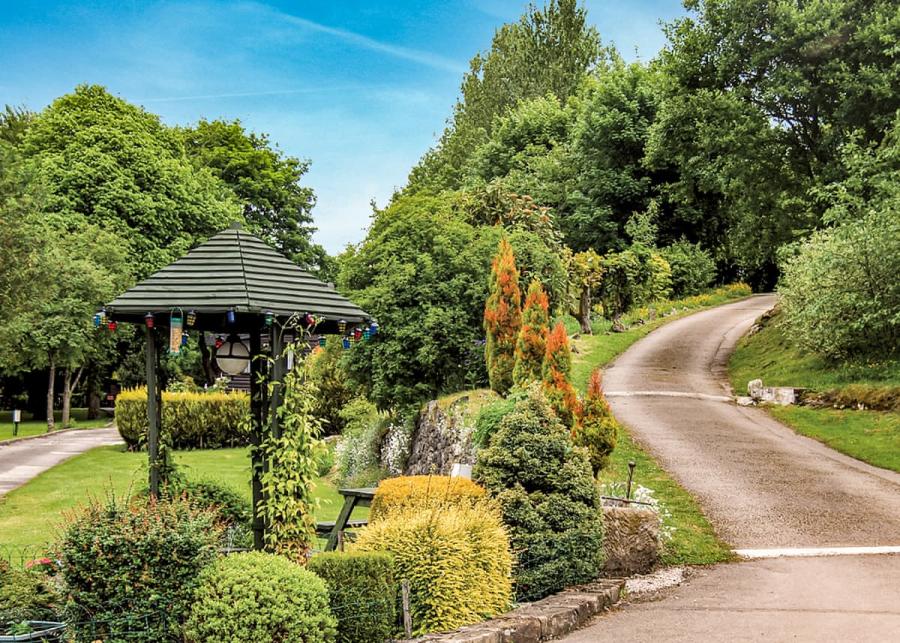 grounds at lime tree holiday park 