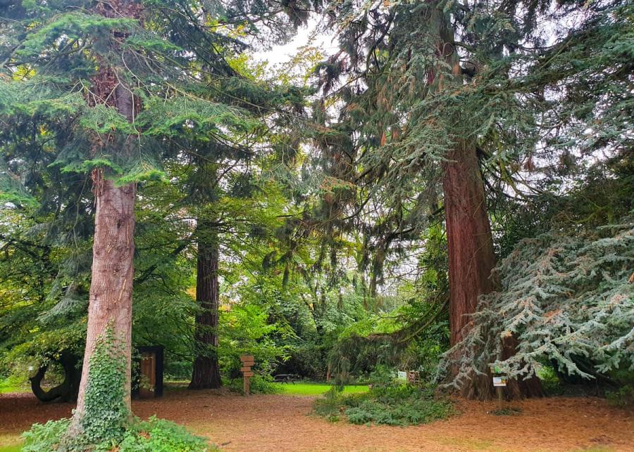 forest walks in derbyshire at sandybrook lodge holiday park