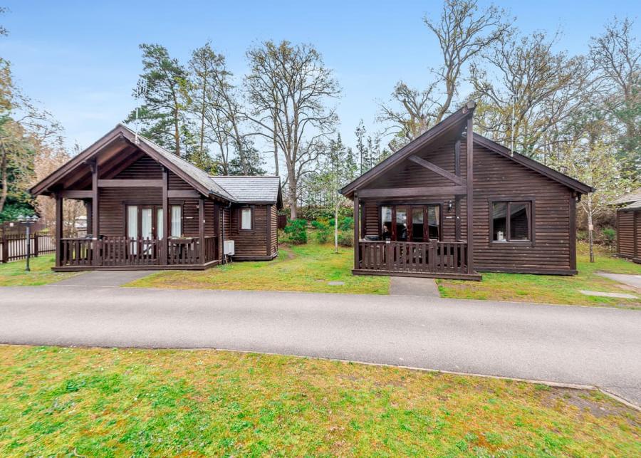 lodge breaks at tilford woods lodge retreat