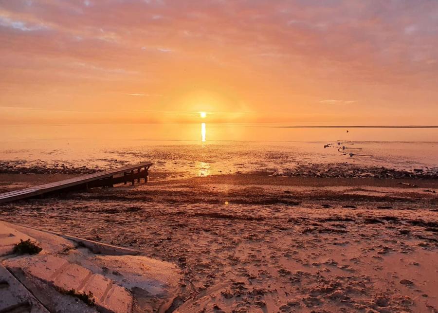 beach nearby waldegraves holiday park 
