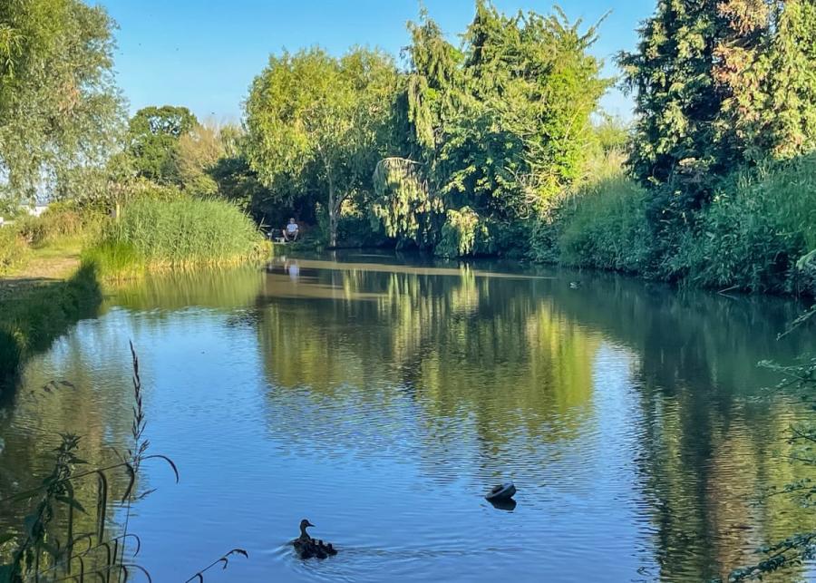fishing at waldegraves holiday park 