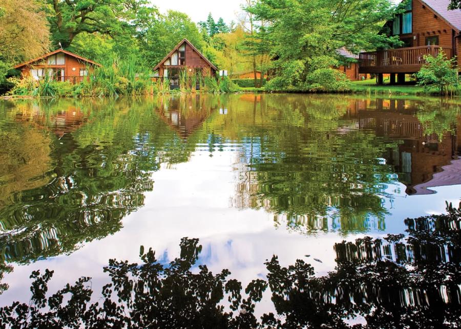 whitemead forest park in gloucestershire near forest of dean 