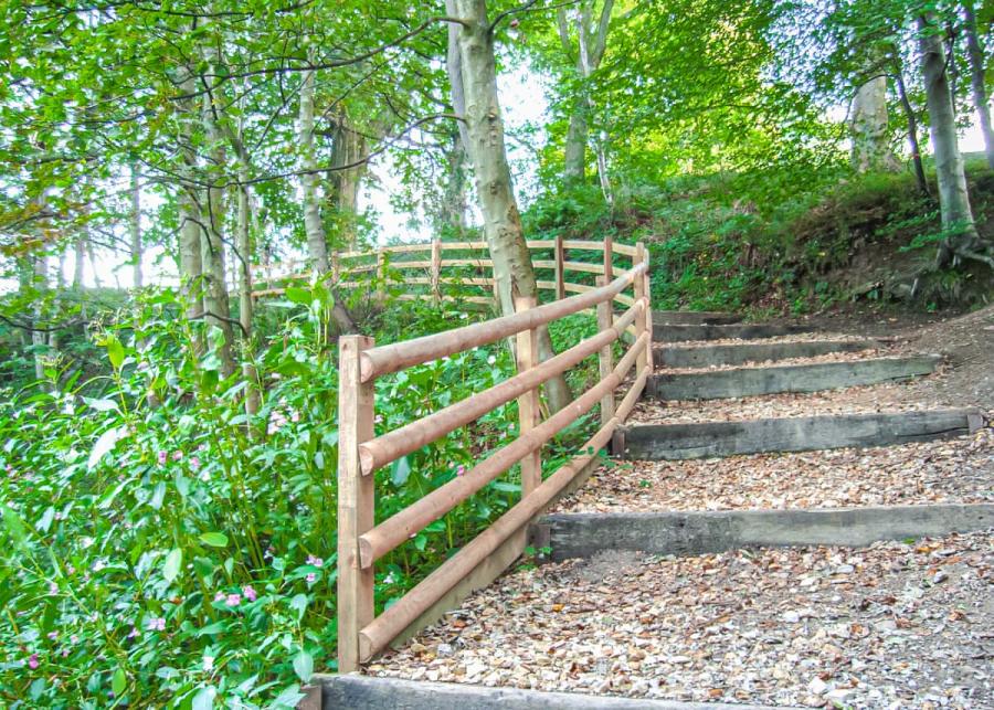 walks at witton castle country park