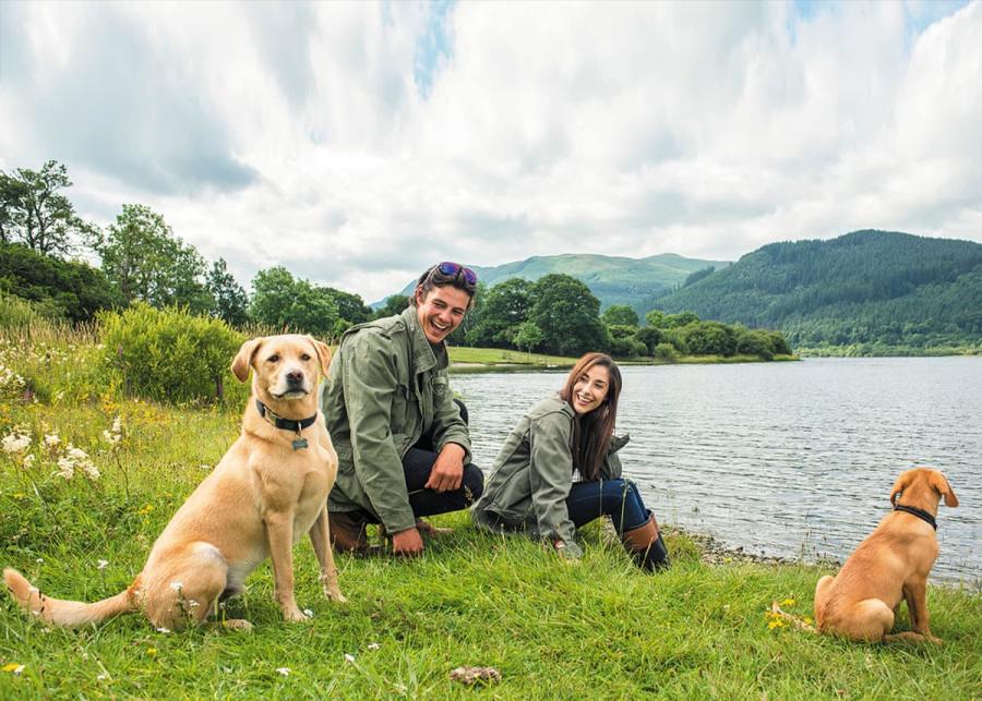 dog friendly lodges at bassenthwaite lakeside lodges