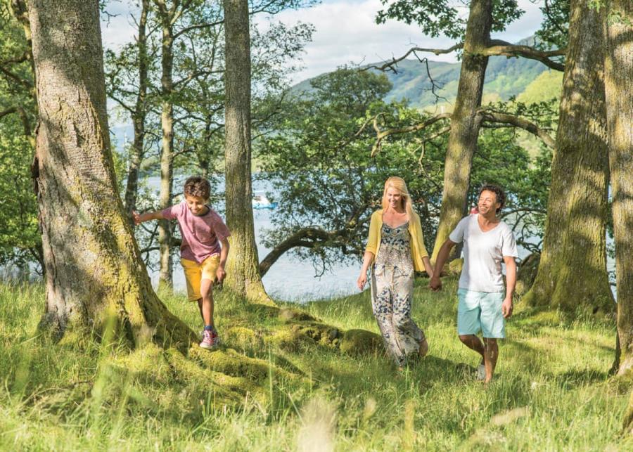 woodland walks near crake valley holiday park