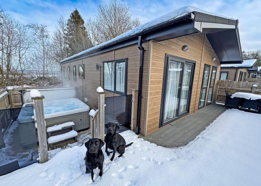 dog friendly lodges 