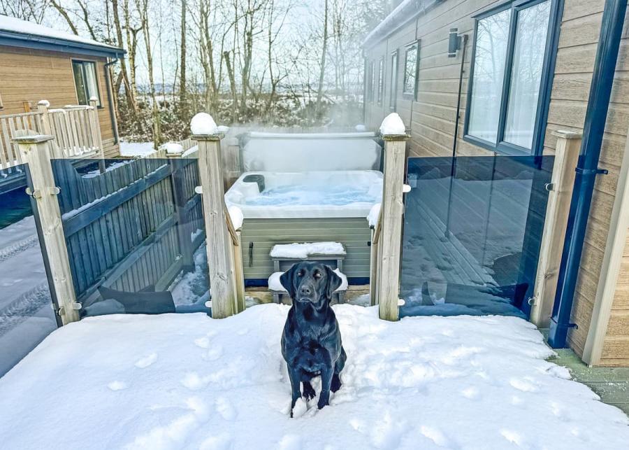 flusco wood holiday lodge park that is dog friendly