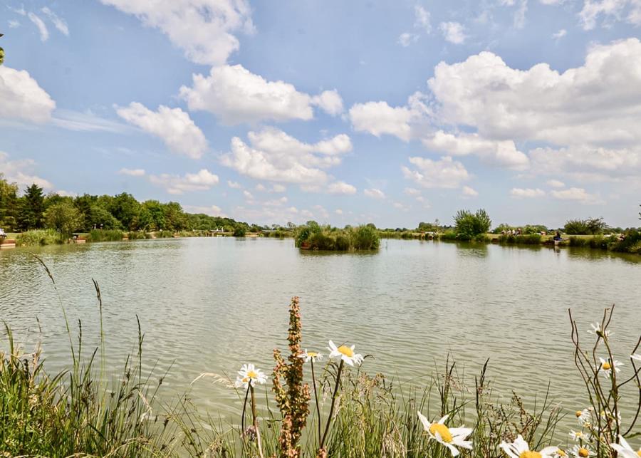 hanworth country park