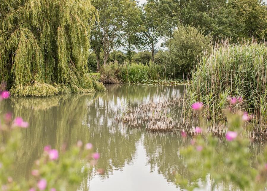 setting at hanworth country park