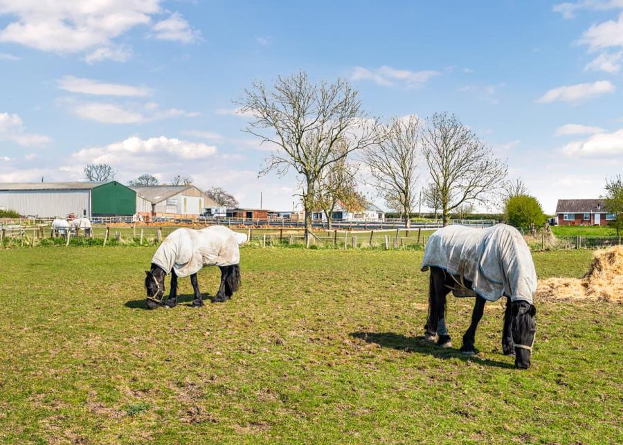 park setting at helsey farm cottages in helsey