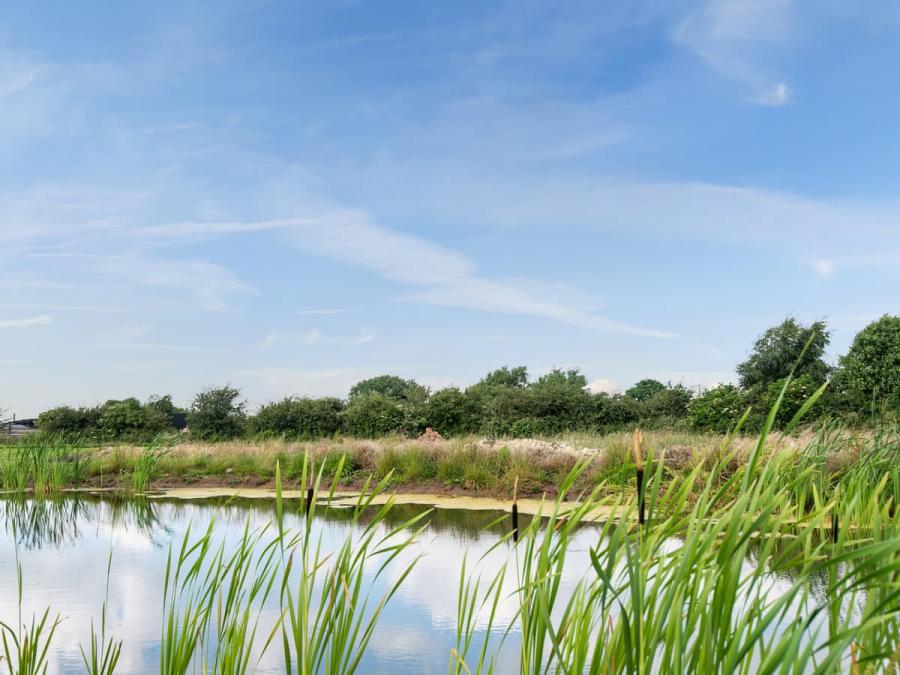 helsey farm cottages