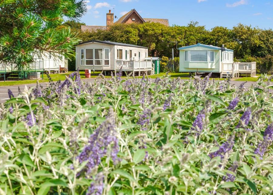 merryfield and sandfield holiday park near chapel st leonards