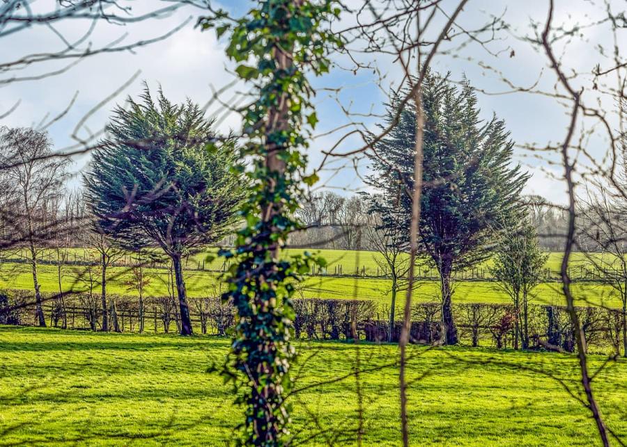 park walks at mowbreck holiday park in lancashire