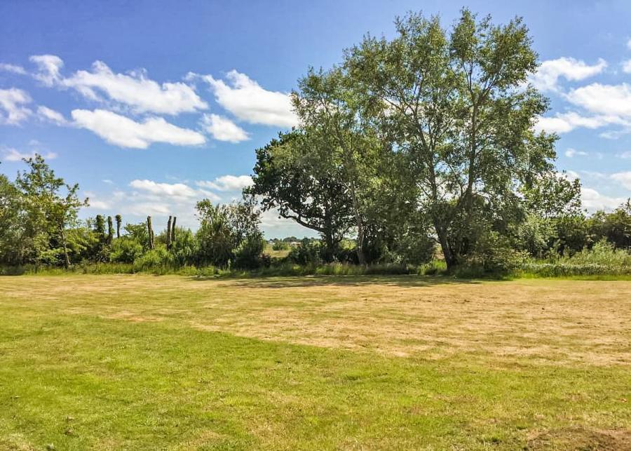green space at norfolk broads country park 