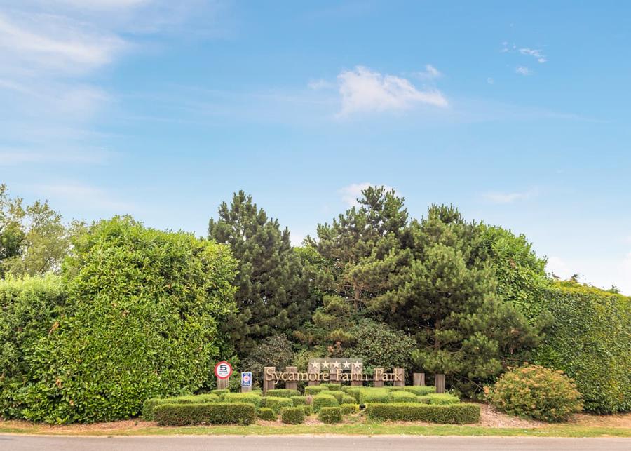 sycamore lakes holiday park 