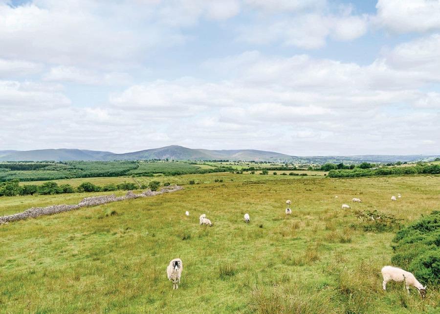 holiday park setting thanet well lodge retreat in cumbria