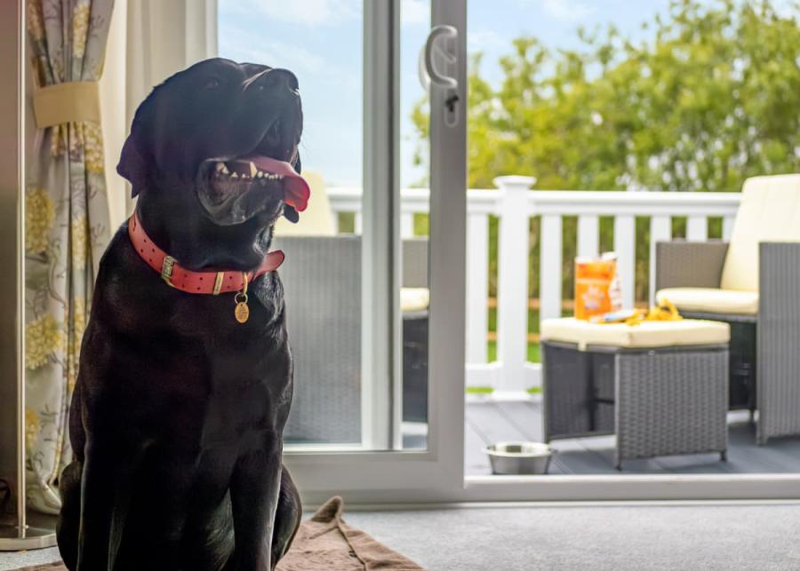 waxham sands holiday park dog friendly