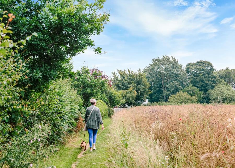 dog walking access at waxham sands holiday park 