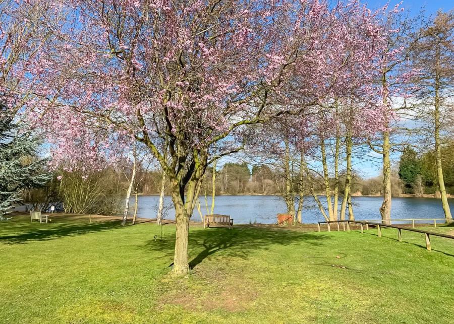 park setting at woodland waters country park in lincolnshire