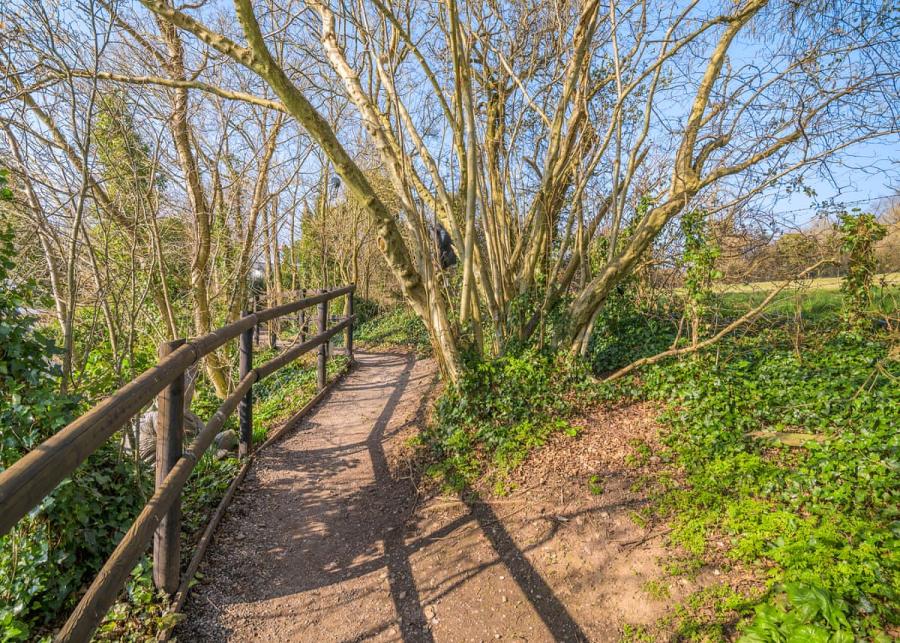 bucklegrove holiday park somerset