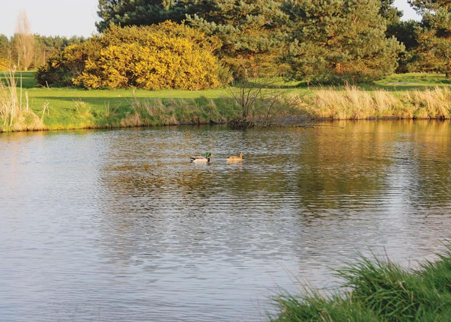 fishing holiday at fairway lakes lodges in norfolk