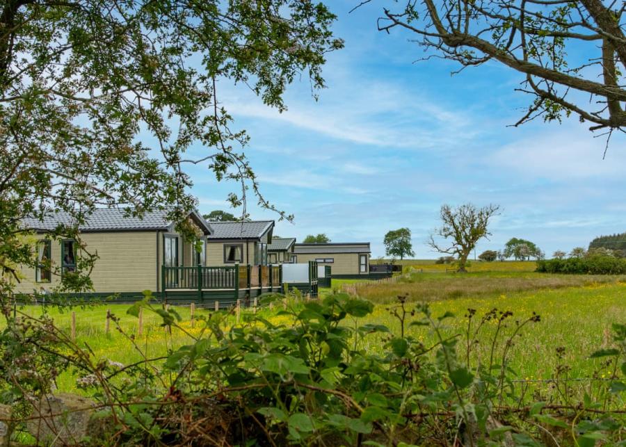 countryside setting at heathergate boutique holiday park 