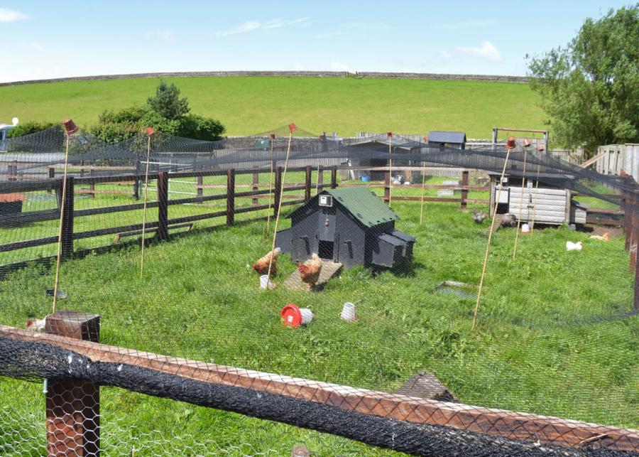 herding hill farm 