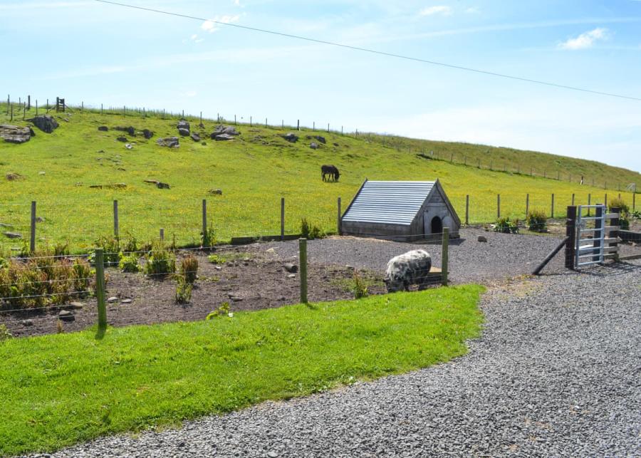 country setting at herding hill farm in haltwhistle