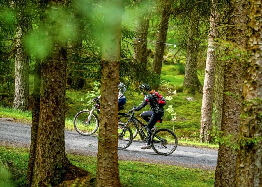 cycling breaks at kielder waterside holiday park 