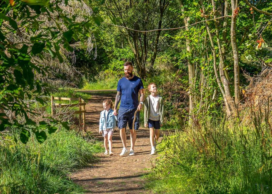 woodland walks at percy wood country park