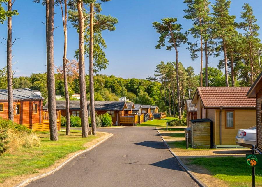lodge breaks at percy wood country park in morpeth