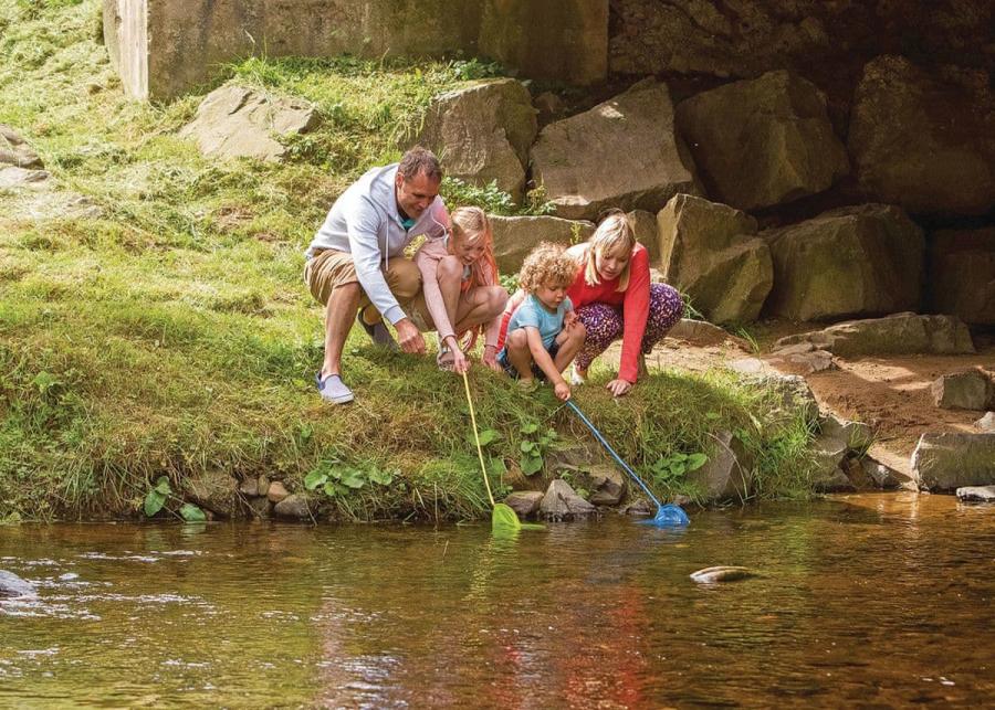 wooler riverside holiday park in wooler