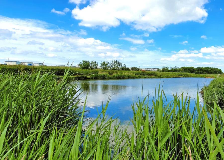fishing at aldbrough leisure park near hull