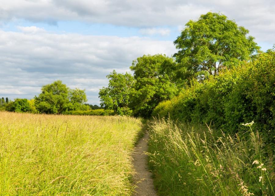 country walks at bowbrook lodges in worcestershire