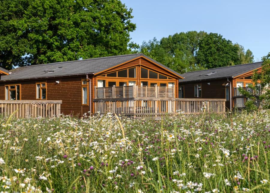 brokerswood holiday park