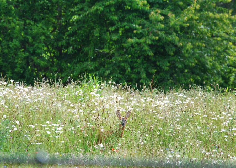 bredon view holiday park