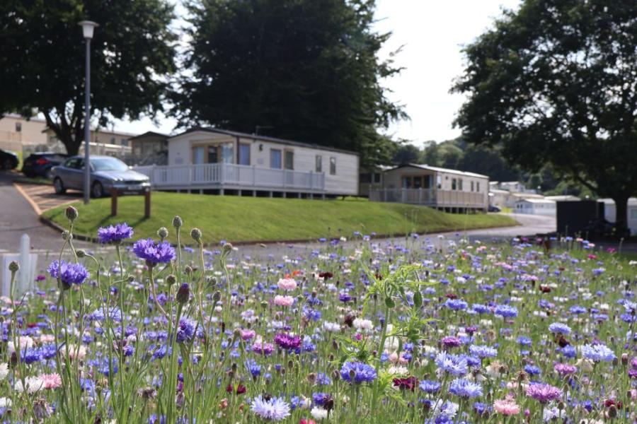 caravans at devon bay holiday park in paignton 
