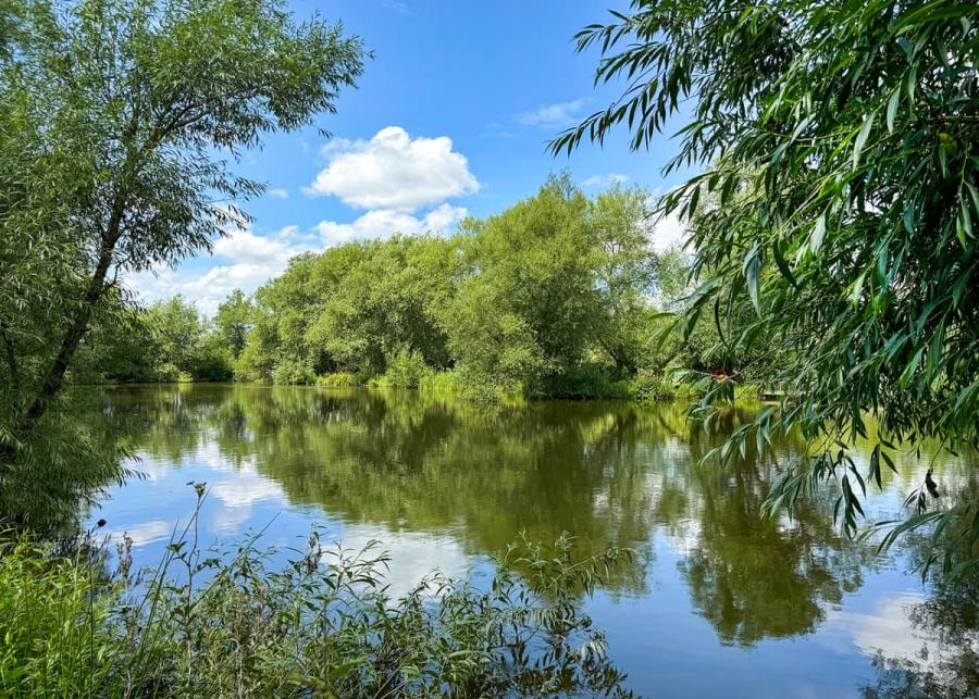 fishing at fairwood lakes holiday park in westbury