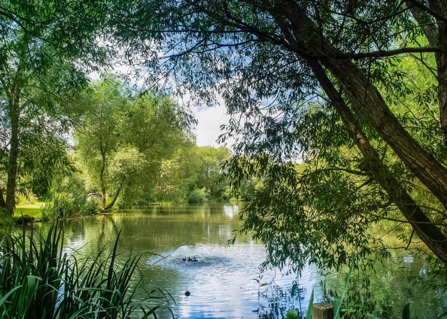 fishing at fairwood lakes holiday park in wiltshire