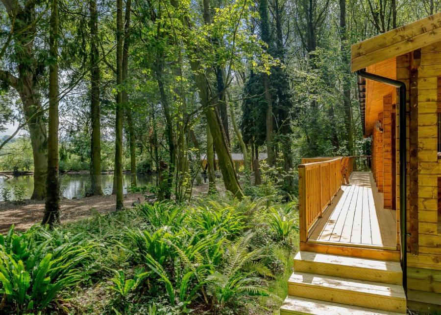 peckmoor farm lodges in crewkerne