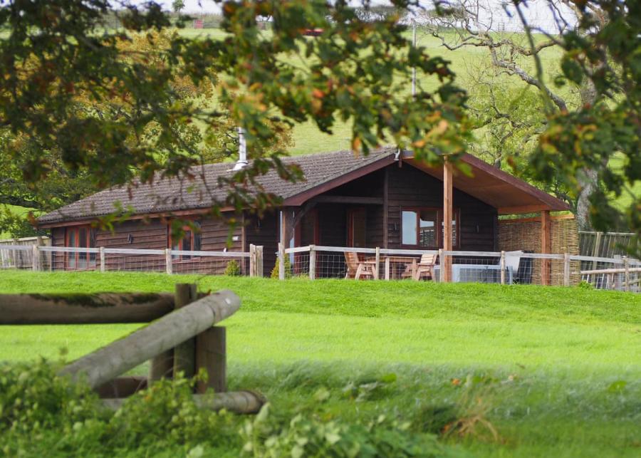 peckmoor farm lodges in crewkerne