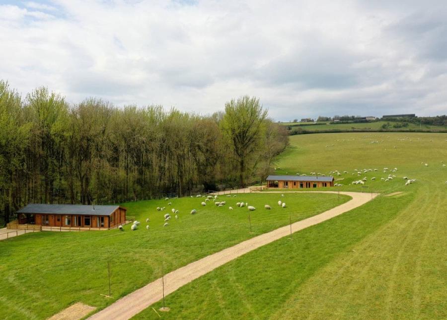 peckmoor farm lodges in crewkerne