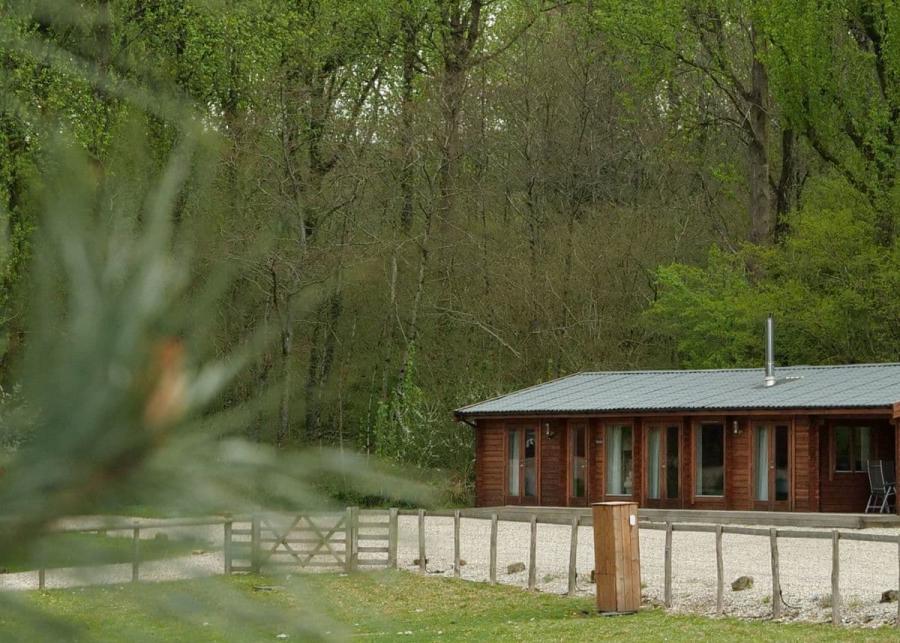 peckmoor farm lodges in crewkerne
