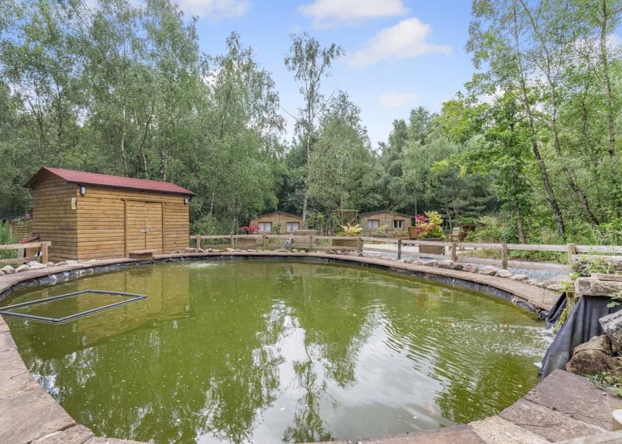 pond at quarry walk lodges near cheadle